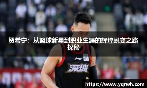 贺希宁：从篮球新星到职业生涯的辉煌蜕变之路探秘